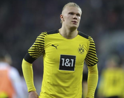 诺贝尔奖预测市场大额下注